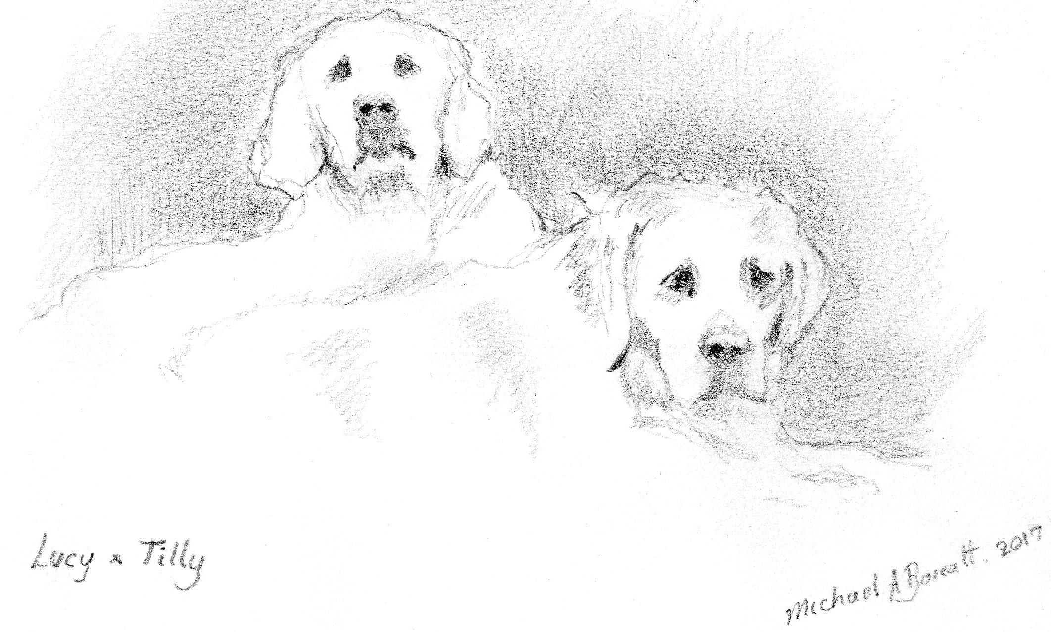 Guests' artwork, Kitty's Loft, self-catering holiday cottage, Isle of Wight